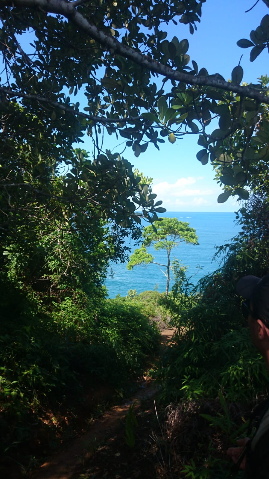 Trilha das 7 praias